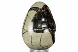 Septarian Dragon Egg Geode - Sparkly Black Crystals #336451-1